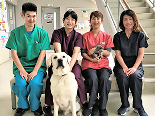 AHT(動物看護士)